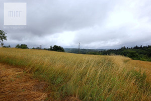 Działka na sprzedaż 6800m2 dębicki Dębica Podgrodzie - zdjęcie 3