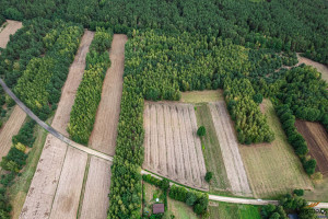 Działka na sprzedaż 8408m2 miński Dobre Ruda-Pniewnik - zdjęcie 1