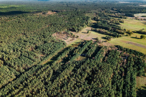 Działka na sprzedaż 16600m2 kozienicki Głowaczów Adamów - zdjęcie 2