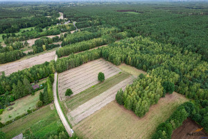 Działka na sprzedaż 8408m2 miński Dobre Ruda-Pniewnik - zdjęcie 2