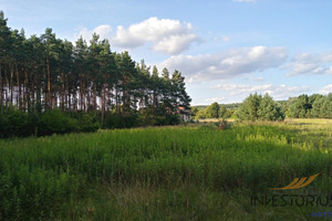 Działka na sprzedaż 2100m2 toruński Obrowo Obory - zdjęcie 2