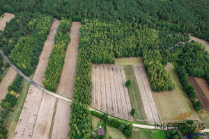 Działka na sprzedaż 8408m2 miński Dobre - zdjęcie 2