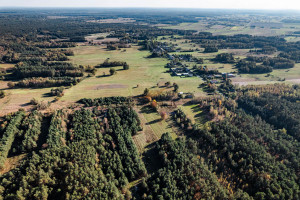 Działka na sprzedaż 16600m2 kozienicki Głowaczów Adamów - zdjęcie 3