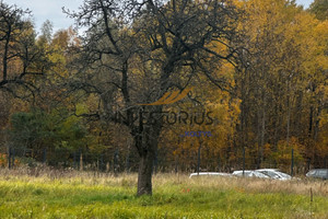 Działka na sprzedaż 754m2 Łódź Widzew Szczawnicka - zdjęcie 2