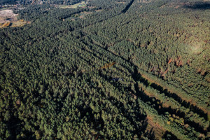 Działka na sprzedaż 16600m2 kozienicki Głowaczów Adamów - zdjęcie 1