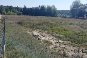 Działka na sprzedaż 10400m2 szczycieński Rozogi Wujaki - zdjęcie 2