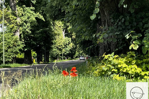 Działka na sprzedaż lubelski Jastków Tomaszowice-Kolonia - zdjęcie 1