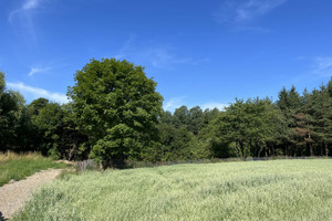 Działka na sprzedaż lubelski Konopnica Motycz - zdjęcie 2