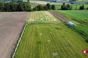 Działka na sprzedaż 6000m2 krakowski Słomniki Januszowice - zdjęcie 3