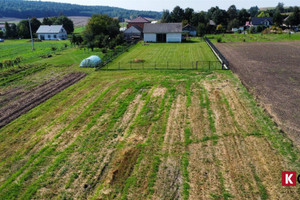 Działka na sprzedaż 6000m2 krakowski Słomniki Januszowice - zdjęcie 1