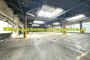 Komercyjne do wynajęcia 3390m2 Sosnowiec - zdjęcie 2