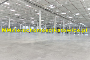 Komercyjne do wynajęcia 22140m2 łowicki Łowicz - zdjęcie 3