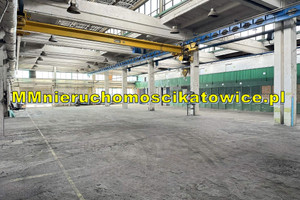 Komercyjne do wynajęcia 975m2 Katowice - zdjęcie 2