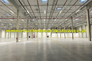 Komercyjne do wynajęcia 10290m2 Katowice - zdjęcie 2