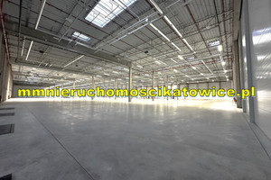 Komercyjne do wynajęcia 10290m2 Katowice - zdjęcie 3