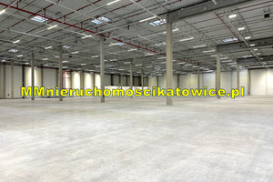 Komercyjne do wynajęcia 2490m2 Katowice - zdjęcie 3