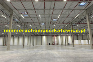 Komercyjne do wynajęcia 10295m2 Katowice - zdjęcie 2