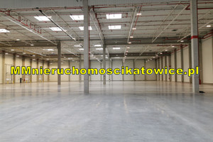 Komercyjne do wynajęcia 1000m2 Katowice - zdjęcie 3