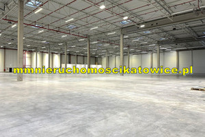 Komercyjne do wynajęcia 3430m2 Katowice - zdjęcie 3