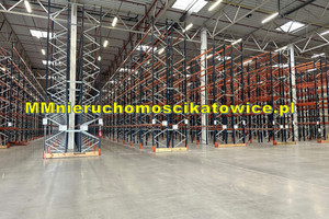 Komercyjne do wynajęcia 2480m2 Katowice - zdjęcie 2