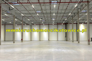 Komercyjne do wynajęcia 3430m2 Katowice - zdjęcie 3