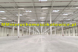 Komercyjne do wynajęcia 22150m2 łowicki Łowicz - zdjęcie 3