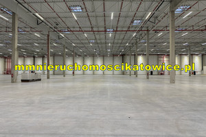 Komercyjne do wynajęcia 10295m2 Katowice - zdjęcie 3