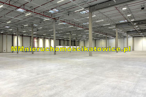 Komercyjne do wynajęcia 2480m2 Katowice - zdjęcie 3