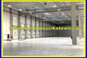 Komercyjne do wynajęcia 3435m2 Katowice - zdjęcie 1