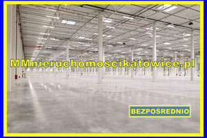 Komercyjne do wynajęcia 22200m2 łowicki Łowicz - zdjęcie 1