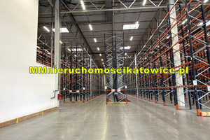 Komercyjne do wynajęcia 2500m2 Katowice - zdjęcie 3