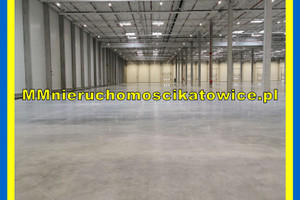 Komercyjne do wynajęcia 990m2 Katowice - zdjęcie 1