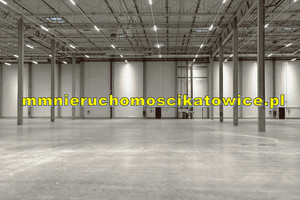 Komercyjne do wynajęcia 3435m2 Katowice - zdjęcie 2