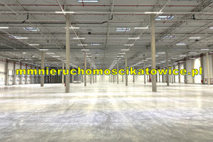 Komercyjne do wynajęcia 10290m2 Katowice - zdjęcie 3