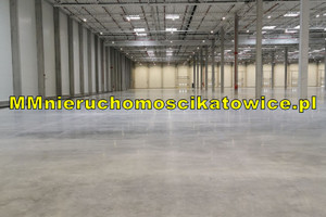 Komercyjne do wynajęcia 1000m2 Katowice - zdjęcie 1