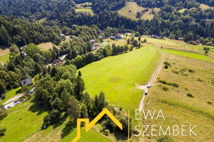 Działka na sprzedaż 15615m2 limanowski Kamienica Szczawa - zdjęcie 3