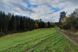 Działka na sprzedaż nowotarski Rabka-Zdrój - zdjęcie 2