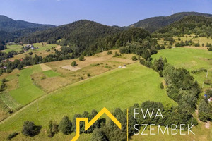 Działka na sprzedaż 15615m2 limanowski Kamienica Szczawa - zdjęcie 1