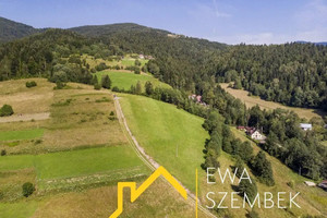 Działka na sprzedaż 15615m2 limanowski Kamienica Szczawa - zdjęcie 2