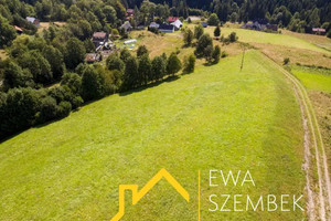 Działka na sprzedaż 15615m2 limanowski Kamienica Szczawa - zdjęcie 4