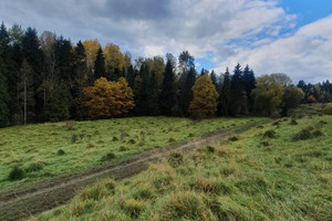 Działka na sprzedaż nowotarski Rabka-Zdrój - zdjęcie 3