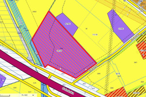 Działka na sprzedaż 48500m2 gdański Cedry Wielkie Cedry Małe - zdjęcie 4