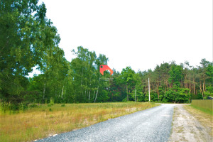 Działka na sprzedaż 1100m2 miński Sulejówek Leśna - zdjęcie 3