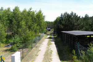 Działka na sprzedaż 1556m2 czarnkowsko-trzcianecki Lubasz Krucz Krucz - zdjęcie 2