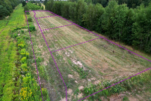 Działka na sprzedaż 1000m2 Skierniewice Kasztanowa - zdjęcie 2