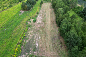 Działka na sprzedaż 1000m2 Skierniewice Kasztanowa - zdjęcie 3