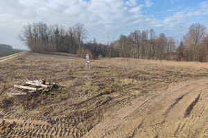 Działka na sprzedaż 1325m2 brzeziński Dmosin - zdjęcie 2