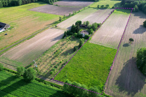 Działka na sprzedaż 12410m2 skierniewicki Bolimów - zdjęcie 2