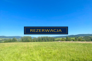 Działka na sprzedaż 1064m2 żywiecki Gilowice Rychwałd Holnówka - zdjęcie 2