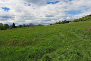 Działka na sprzedaż 3031m2 gorlicki Lipinki - zdjęcie 2